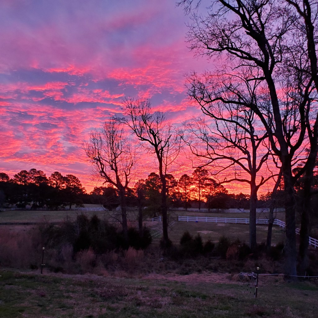 Late winter sunrise.